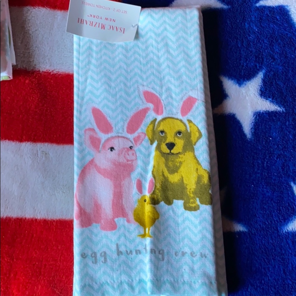Kitchen Decorative Towels bundle of two